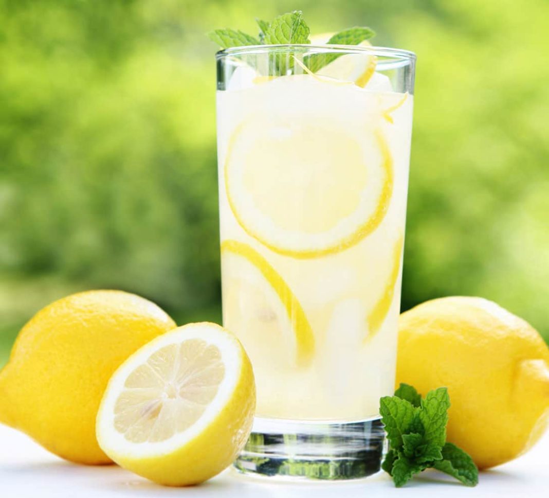 Limonade maison Recettes spéciales Thermomix