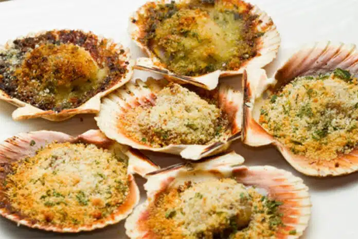 Coquilles de Saint-Jacques Gratinées